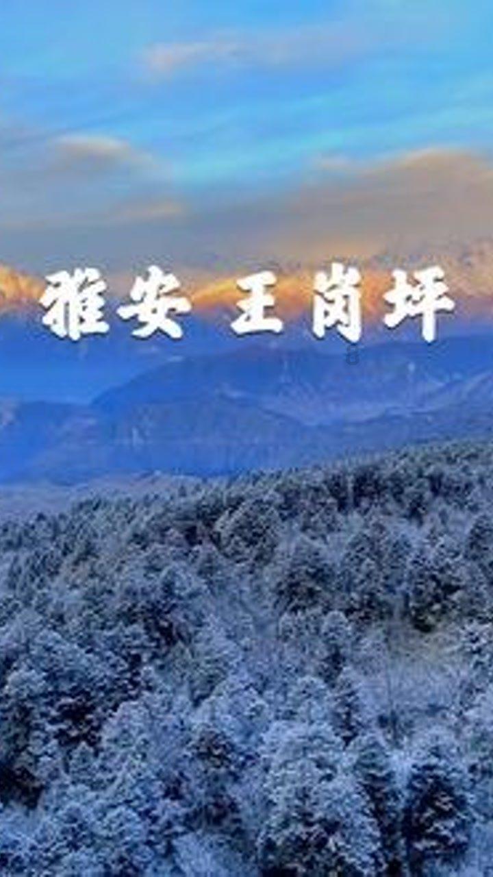 贪腐成风：列宁时期令人惊异的腐败现象