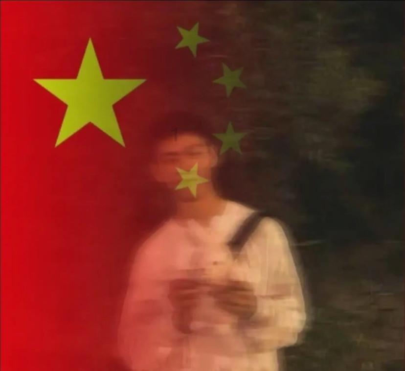洞庭湖畔的一丛芦苇花